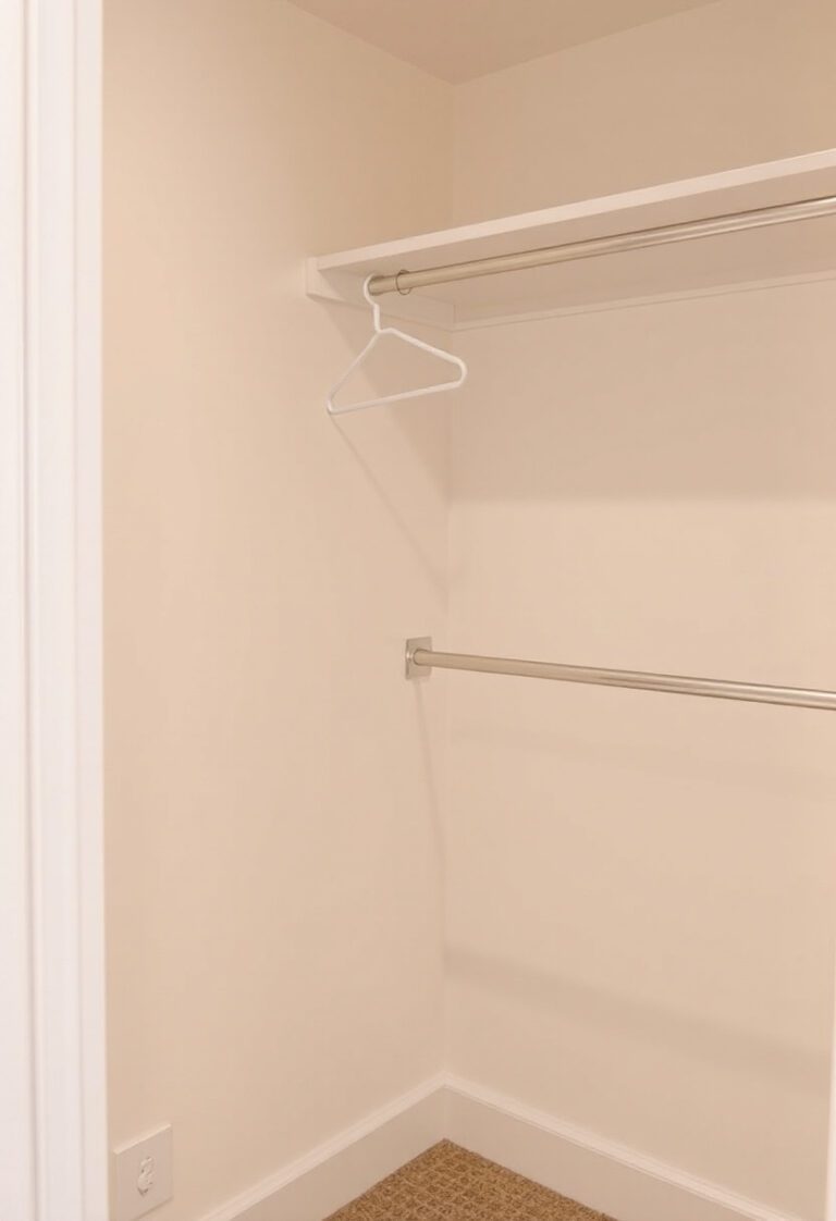 Closet Organization Hacks