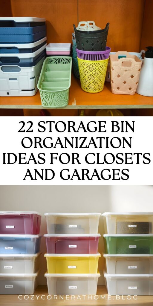 22 Storage Bin Organization Ideas for Closets and Garages