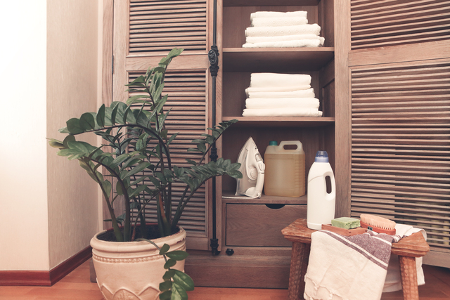 Wooden cupboard of laundry equipment in home interior